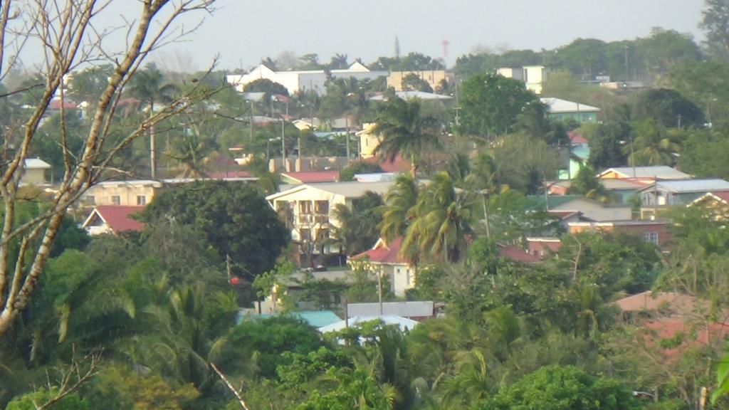Hacienda Tropical Guest House Бельмопан Экстерьер фото